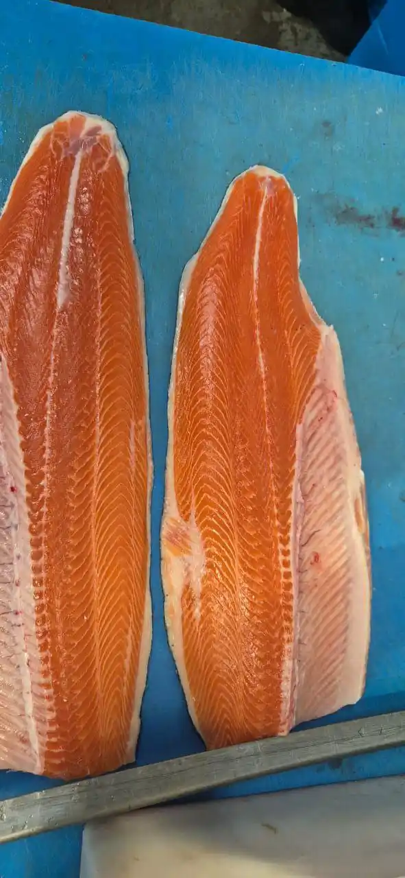 Продажа свежей Мурманской семги - Животные в Подольск