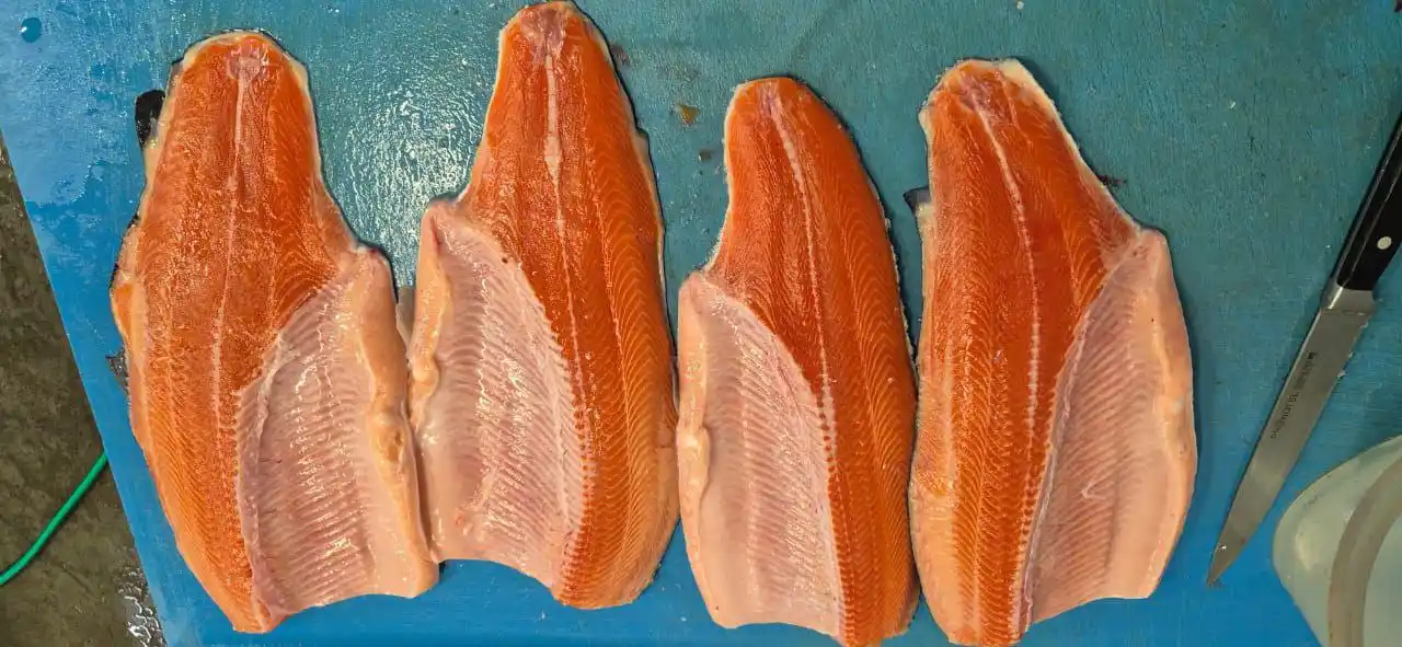 Продажа свежей Мурманской семги