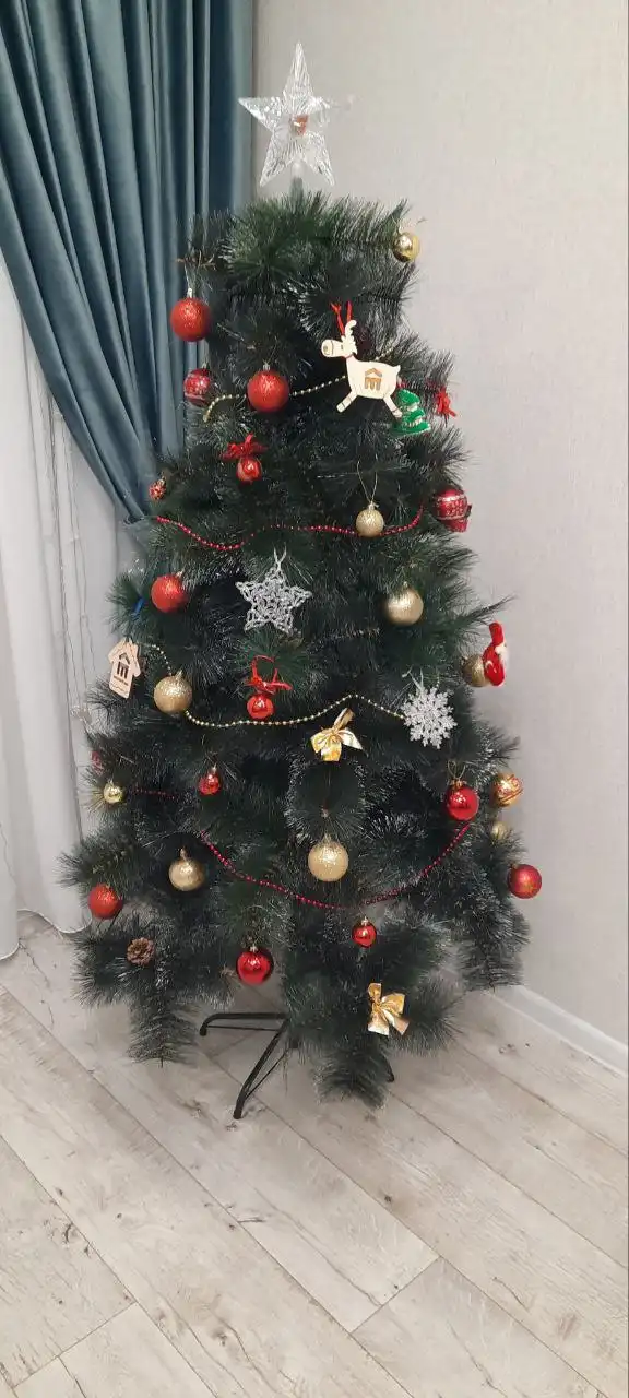 Елки на Новый год