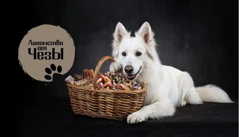 Натуральные сушенные лакомства для собак из фермерских продуктов - Товары для животных (Барахолка) в Ульяновск