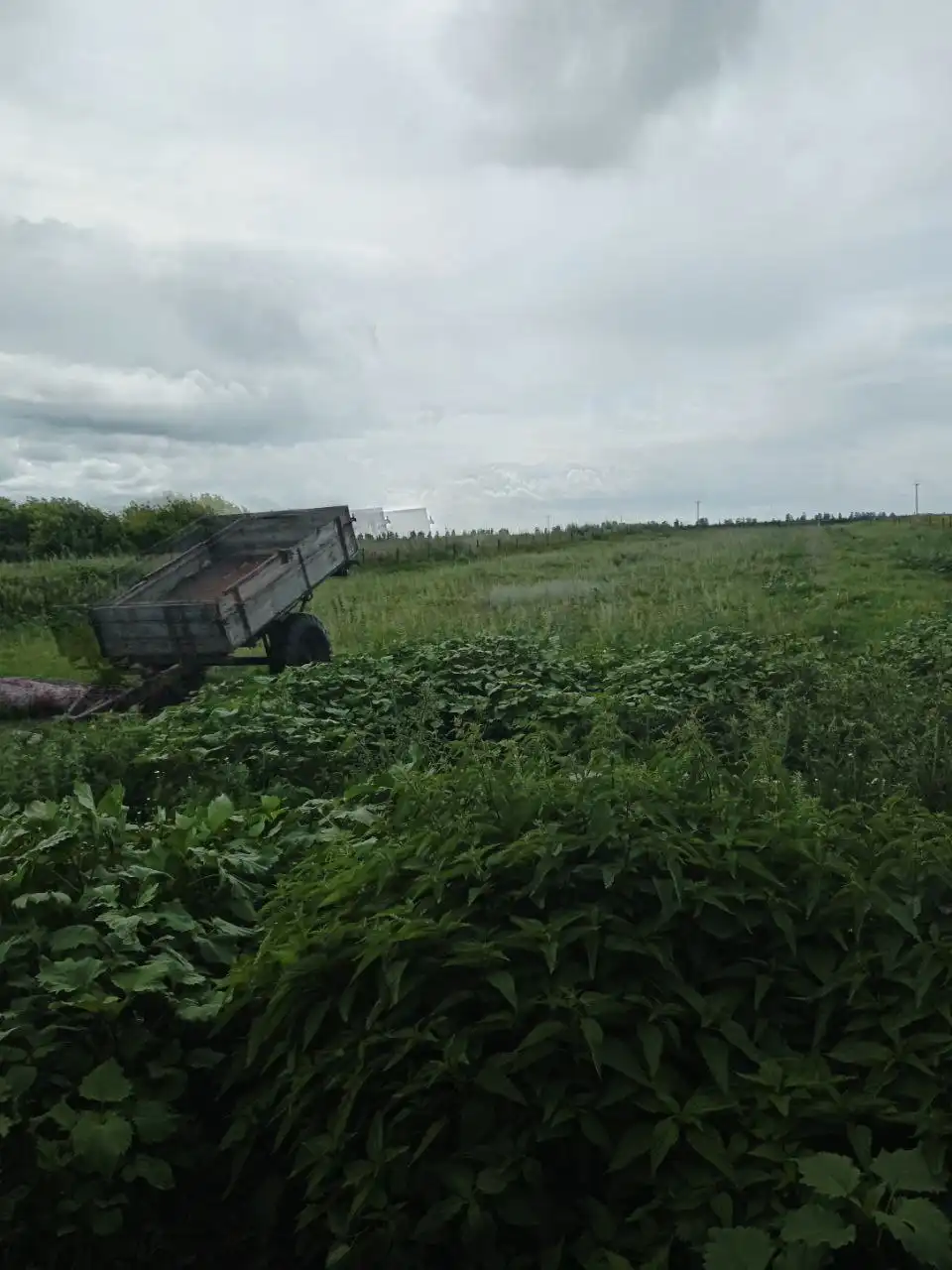 Продажа дома с участком и Газели 3302 в Ульяновской области - Недвижимость в Ульяновск