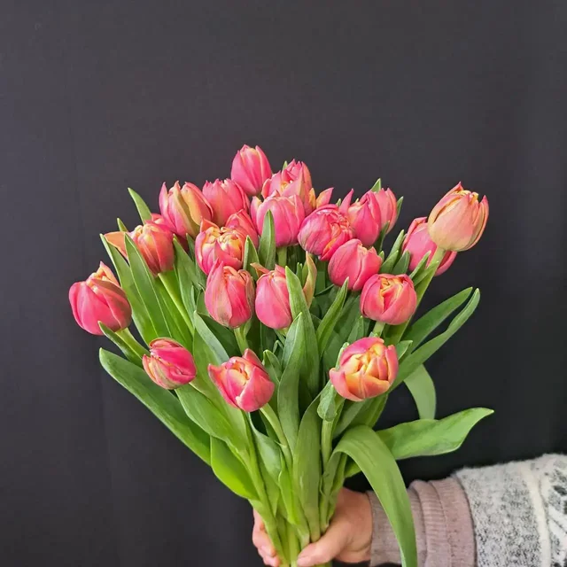 Тюльпаны к 8 Марта: свежие из теплицы, длина 45 см - Кино в Ульяновск