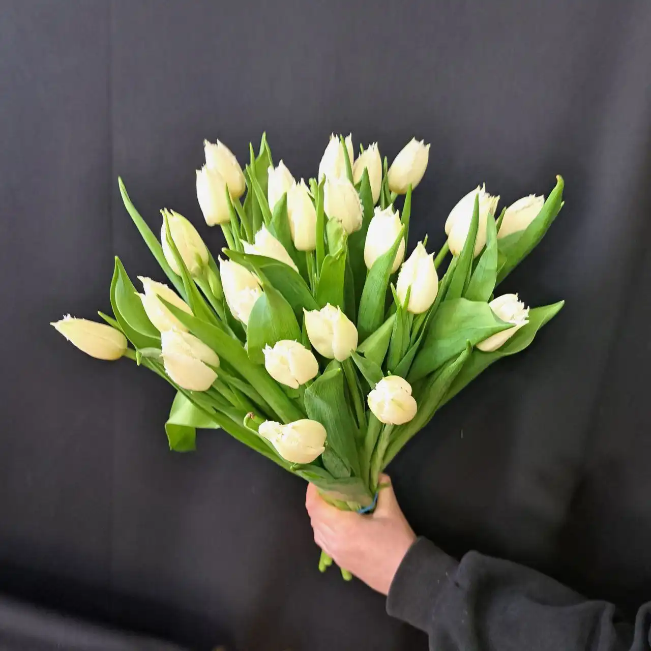 Тюльпаны к 8 Марта: свежие из теплицы, длина 45 см - Цветы (Хобби и отдых) в Ульяновск