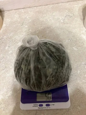 Сушеная мята: микс ментоловой и обычной - Прокат в Ульяновск