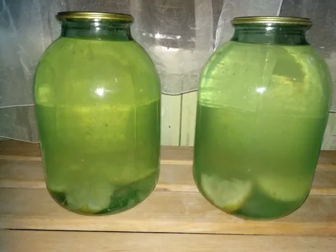 Продажа березового сока с лимоном - Прокат в Ульяновск