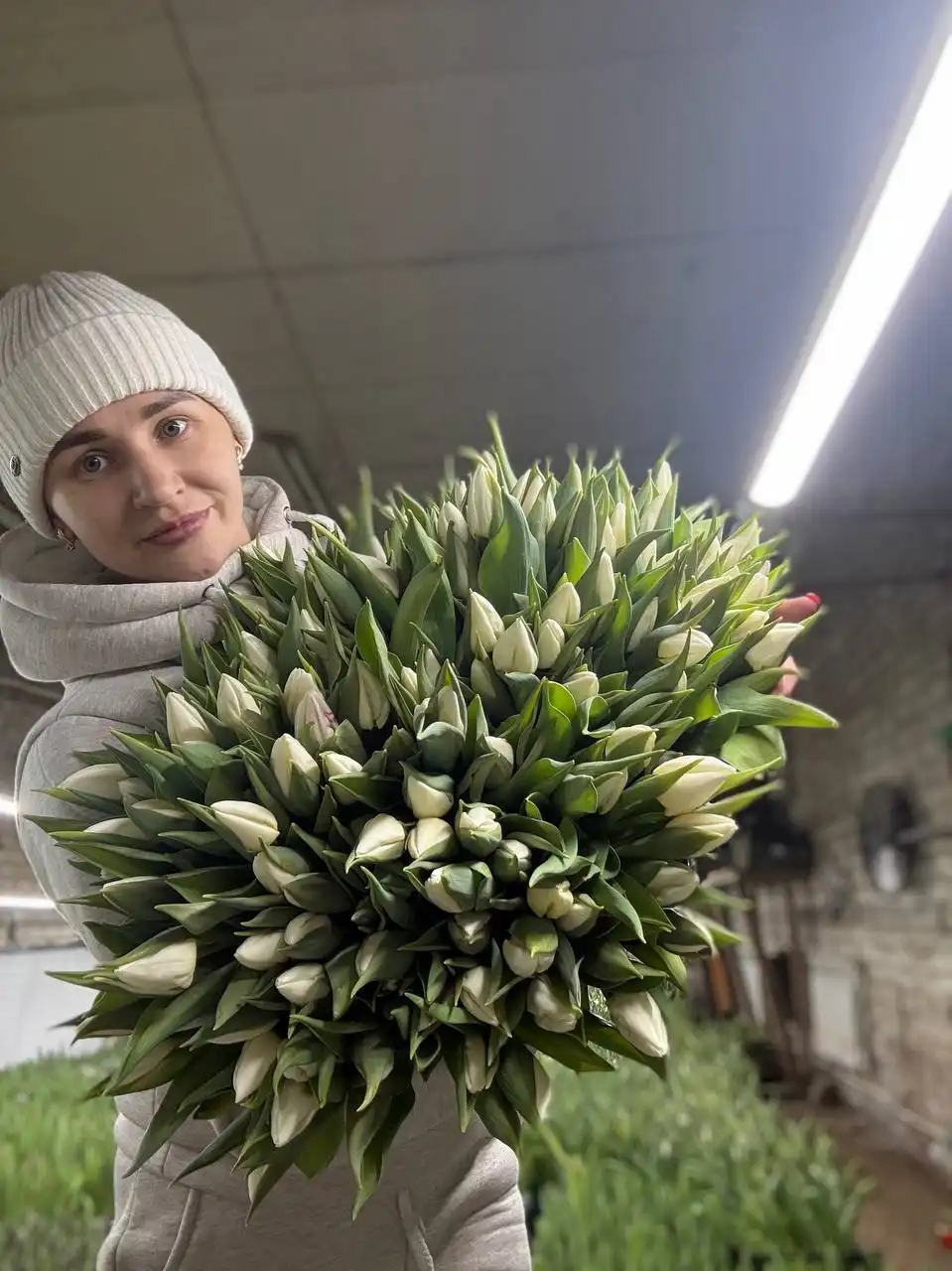 Тюльпаны свежие в Ульяновске - Цветы (Барахолка) в Ульяновск