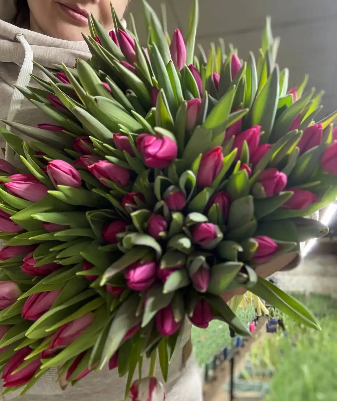 Продажа тюльпанов в Ульяновске - Барахолка в Ульяновск