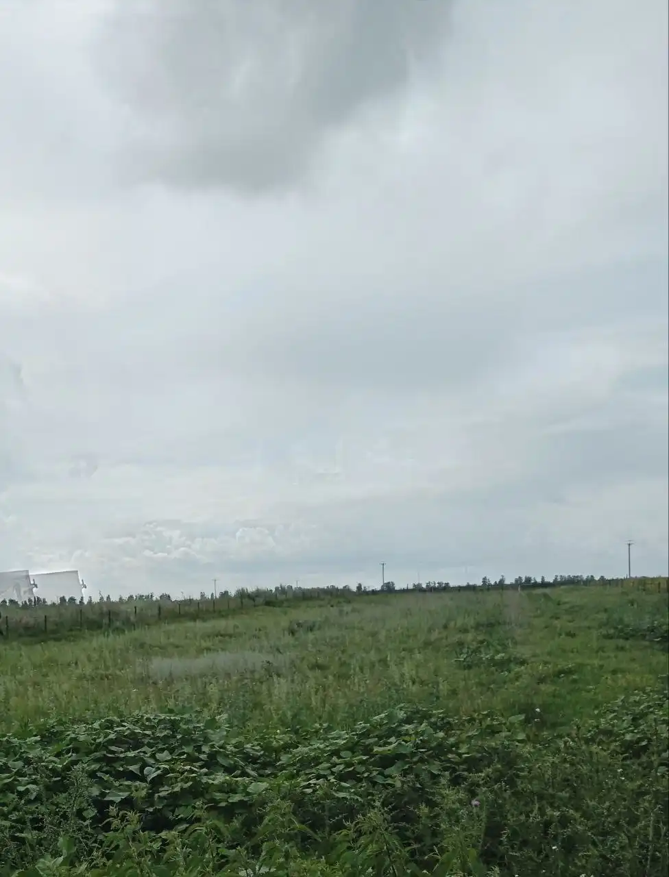 Кирпичный дом с гаражом, баней и участком 40 соток - Дома (Недвижимость) в Ульяновск