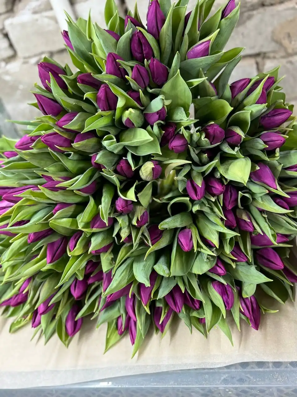 Тюльпаны свежие с доставкой в Ульяновске - Барахолка в Ульяновск