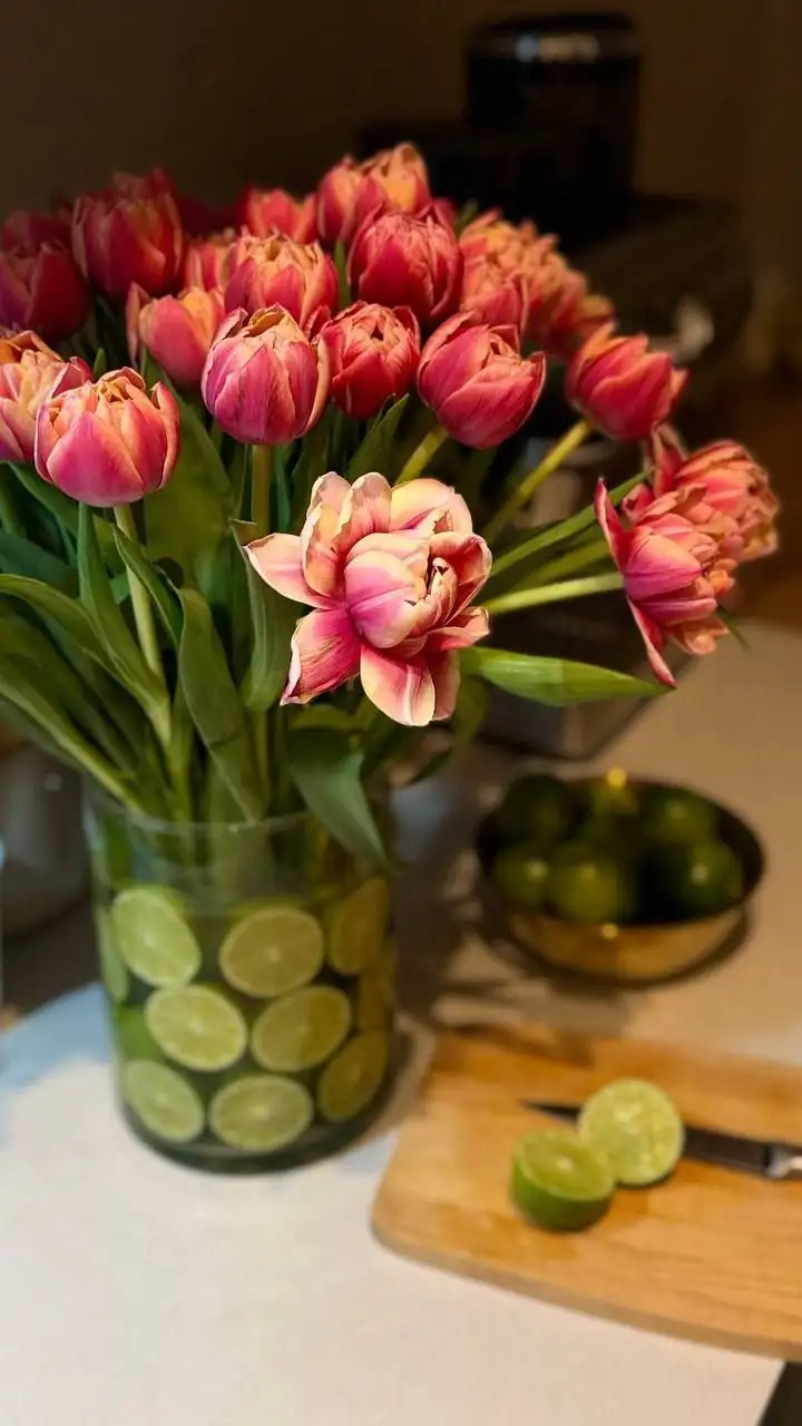 Тюльпан Columbus — пионовидная магия к 8 Марта - Цветы (Барахолка) в Ульяновск