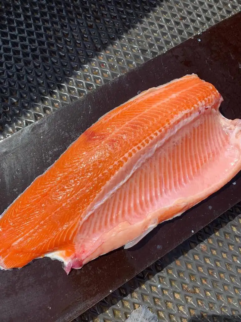 Свежая форель от производителя - Продукты питания (Барахолка) в Ульяновск