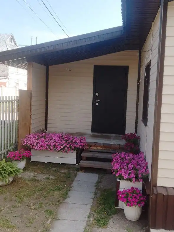 Продажа черенков петунии евро - Растения (Барахолка) в Ульяновск