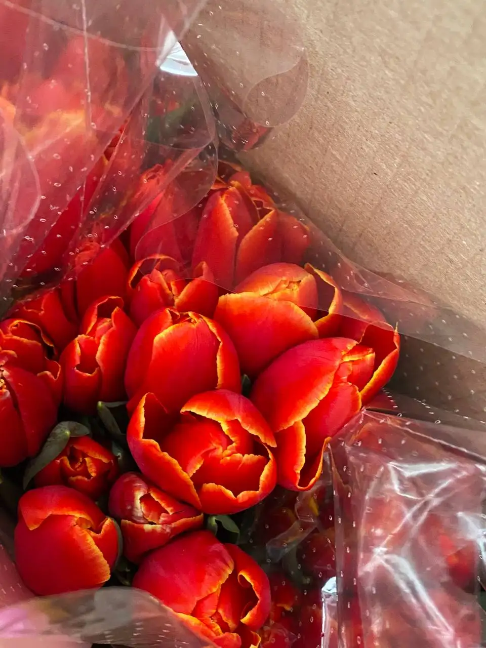 Тюльпаны к 8 марта с доставкой - Цветы (Барахолка) в Ульяновск