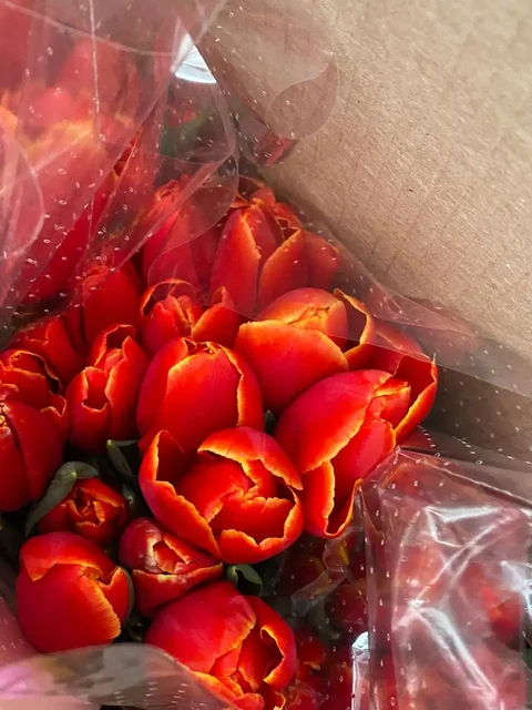 Тюльпаны к 8 марта с доставкой - Холодильники в Ульяновск