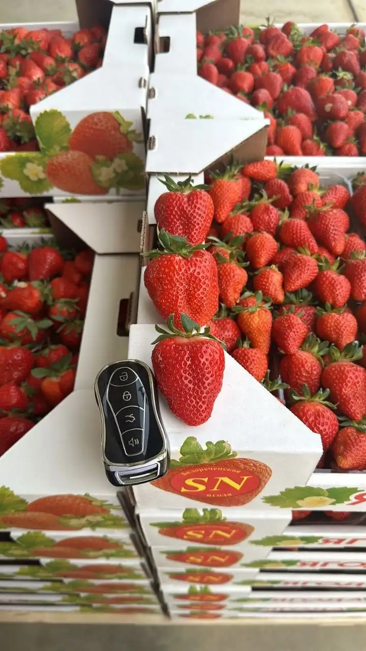 TOVARI5+ - свежие продукты по низким ценам в Ульяновске - Продукты питания (Услуги) в Ульяновск