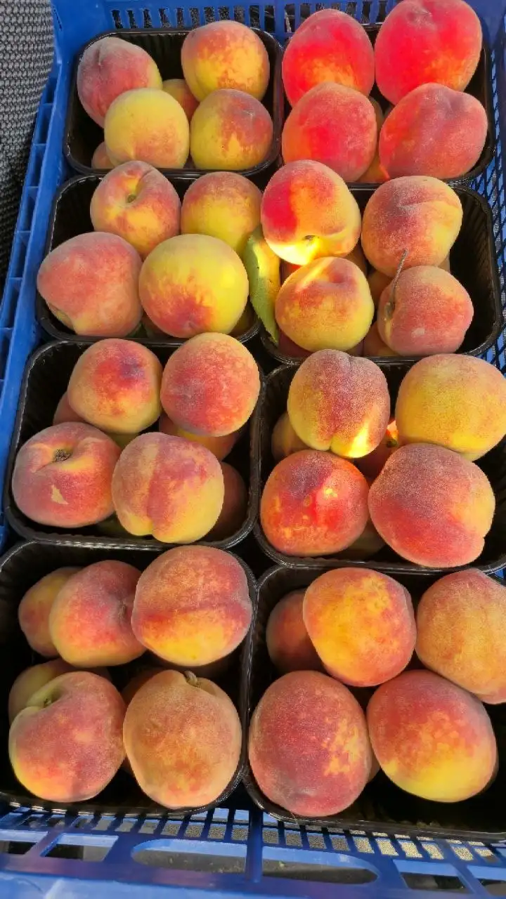 НОВЫЙ ПРИВОЗ ФРУКТОВ И ОВОЩЕЙ - Фрукты и овощи (Продукты) в Ульяновск