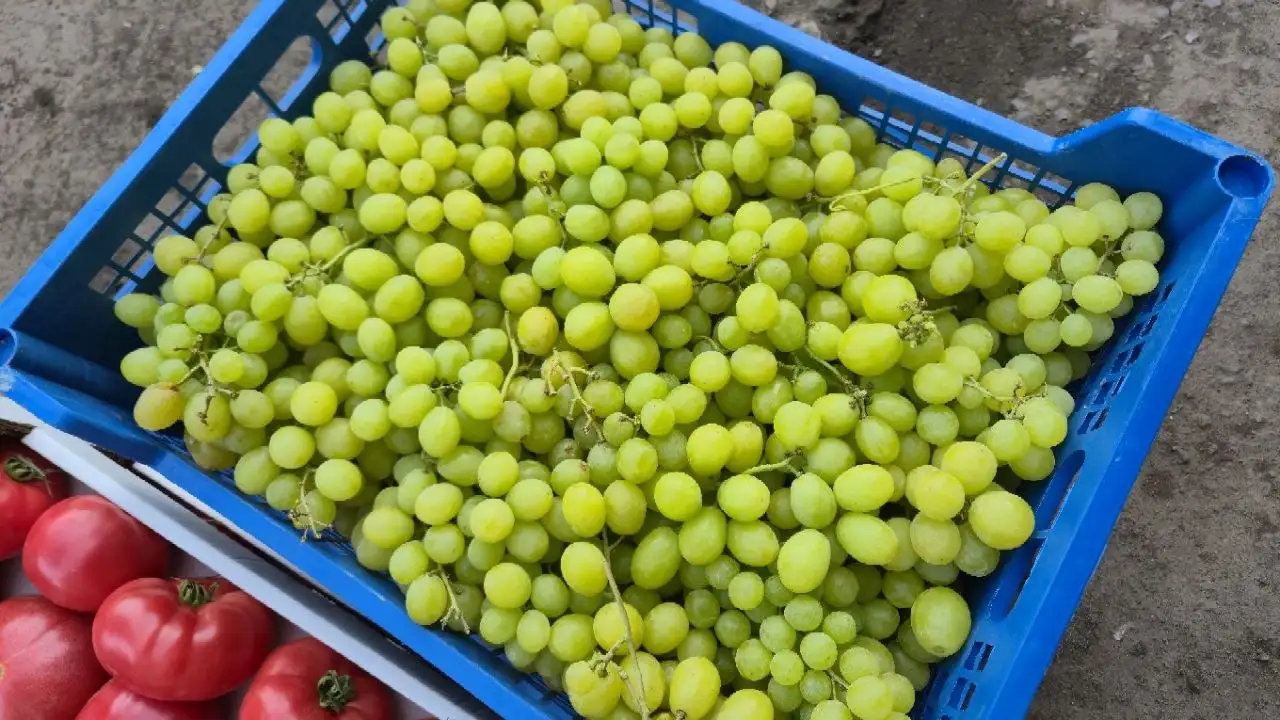 НОВЫЙ ПРИВОЗ ФРУКТОВ И ОВОЩЕЙ - Фрукты и овощи (Продукты) в Ульяновск