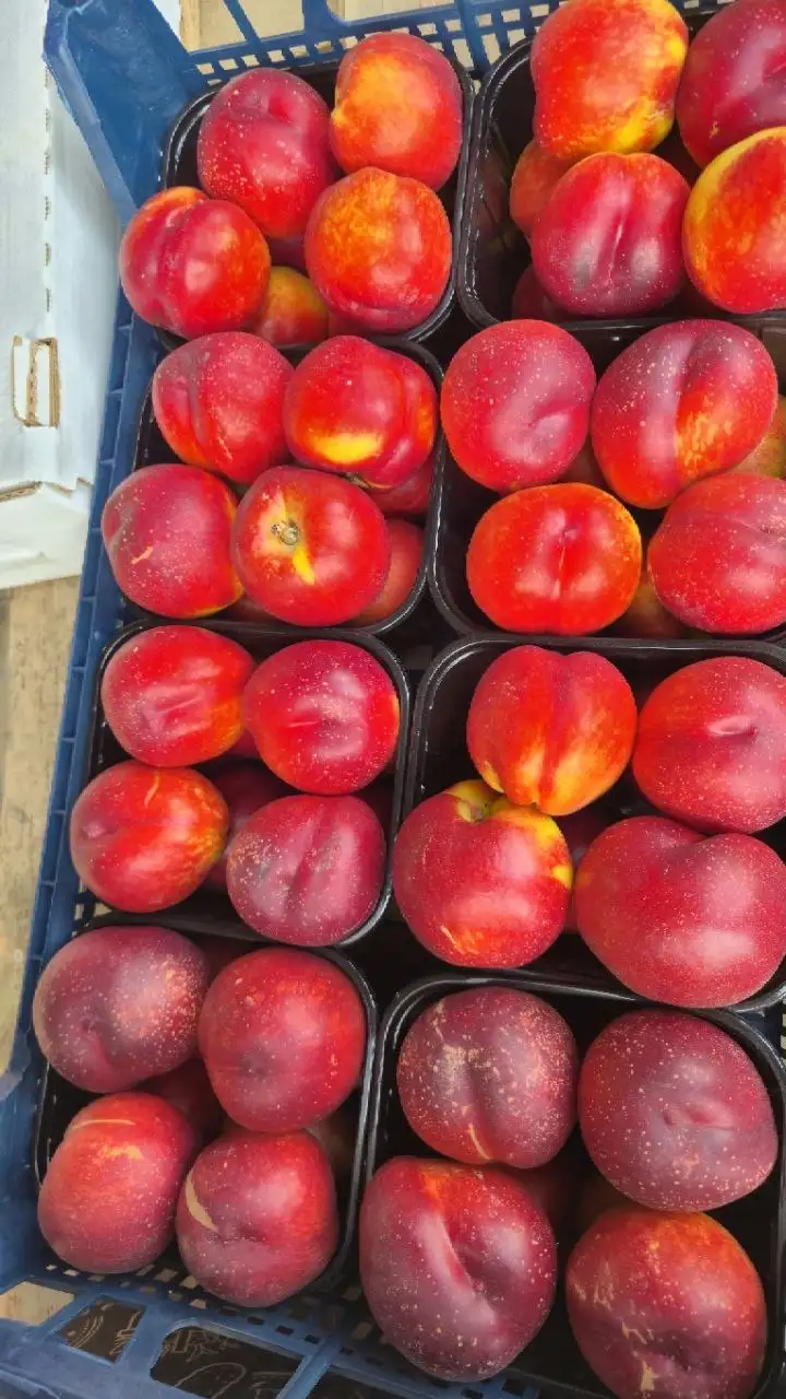НОВЫЙ ПРИВОЗ ФРУКТОВ И ОВОЩЕЙ - Фрукты и овощи (Продукты) в Ульяновск