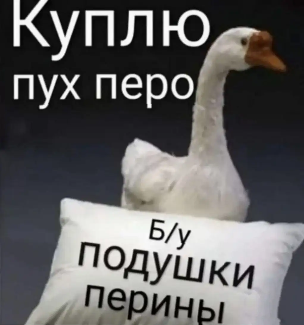 Куплю пух, перо, старые подушки - Покупка (Барахолка) в Ульяновск