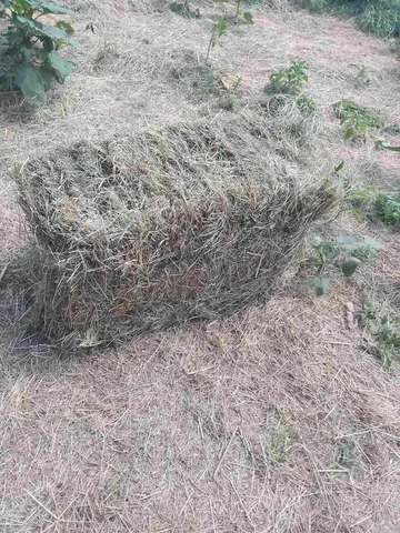 Продам сено в квадратных тюках - Для дома и дачи в Ульяновск