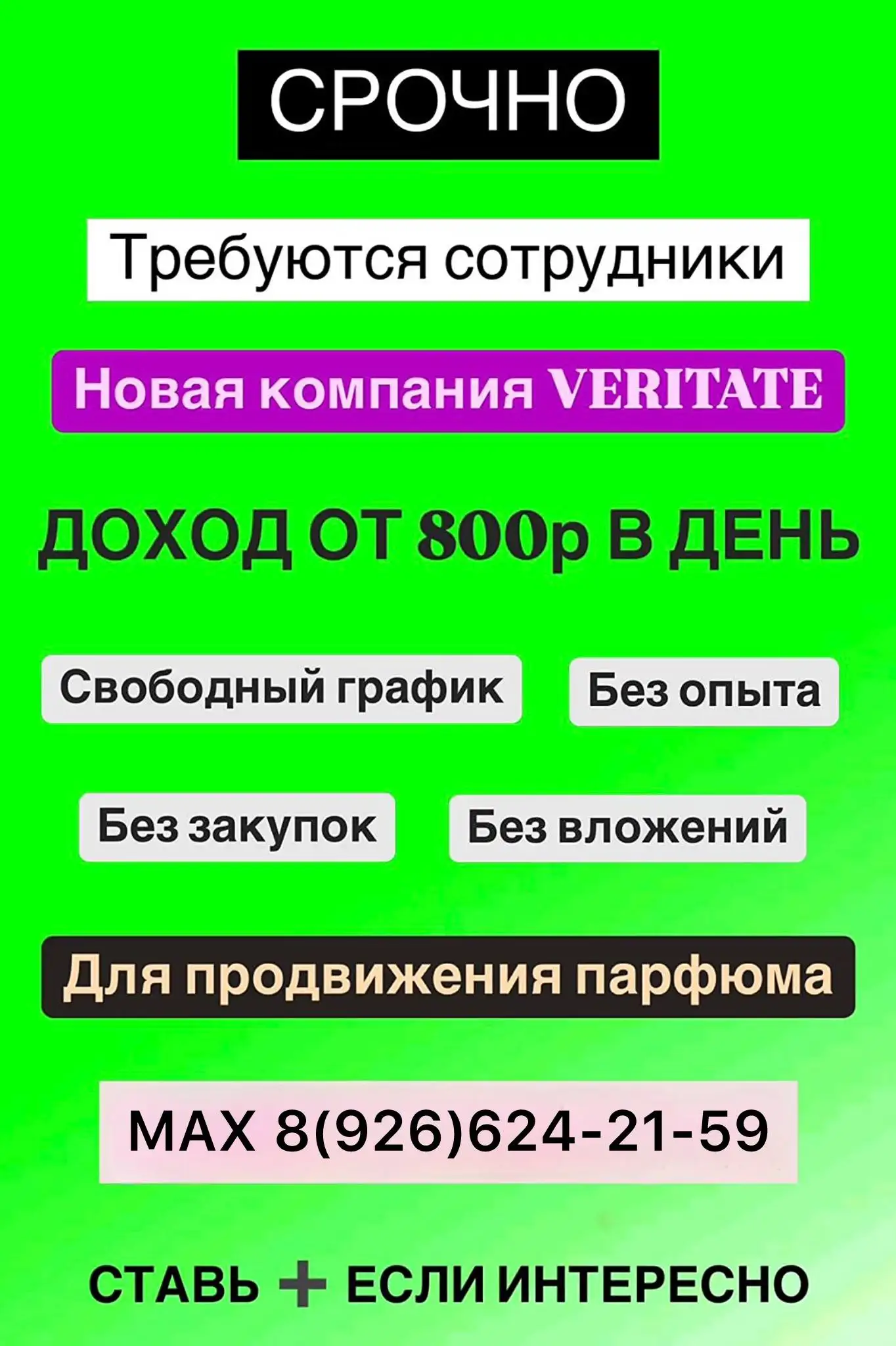 Отдам животных в добрые руки - Животные в Ульяновск