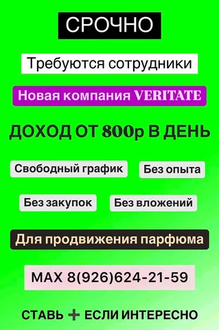Отдам животных в добрые руки - Кошки в Ульяновск