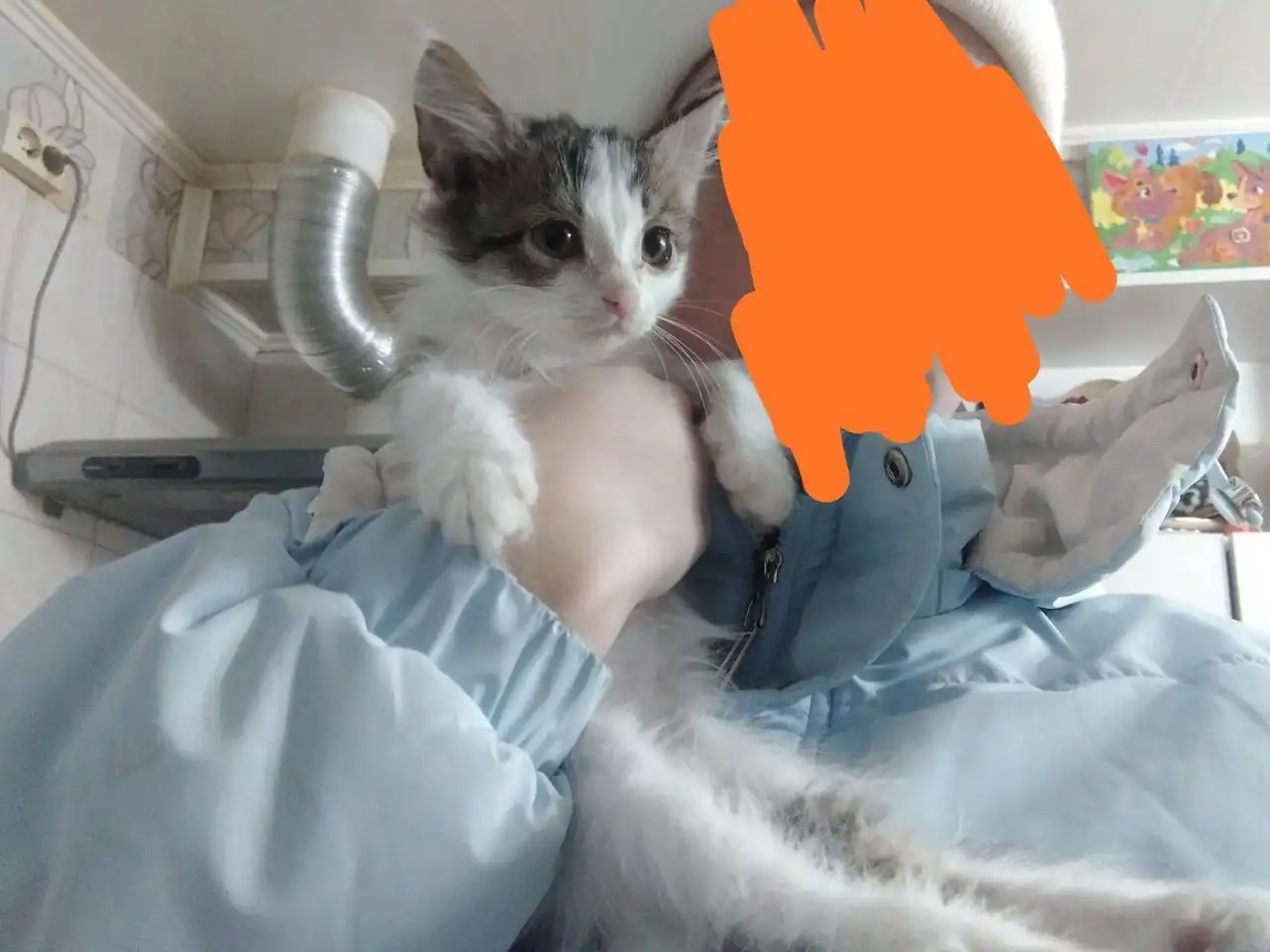 Девочка 2.5 месяца ищет дом