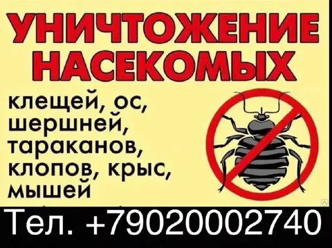 Дезинсекция квартиры перед Новым годом - частное объявление в Ульяновск