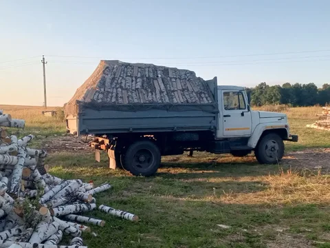 Продажа берёзовых дров с доставкой - частное объявление в Ульяновск
