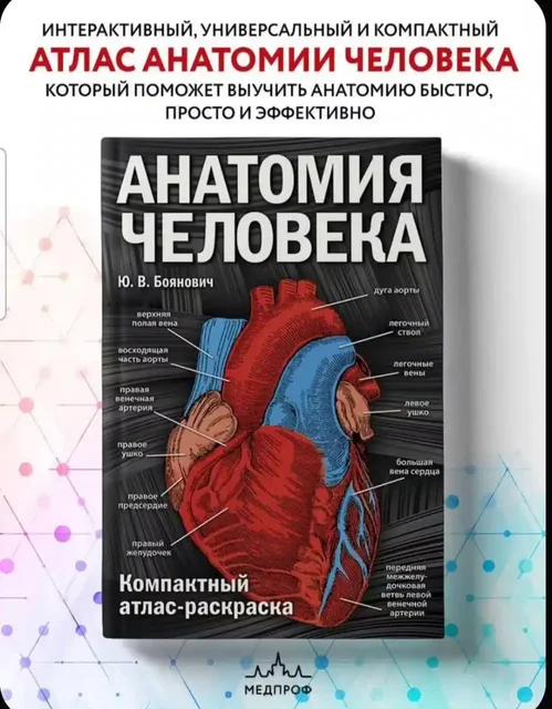 Продажа атласа-раскраски по анатомии человека - частное объявление в Чита