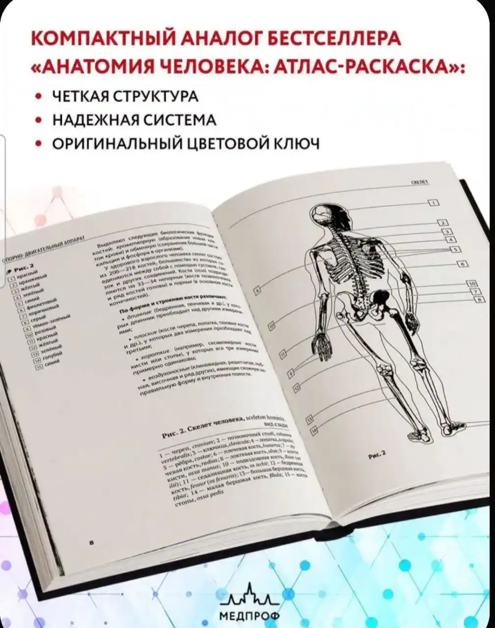 Продажа атласа-раскраски по анатомии человека