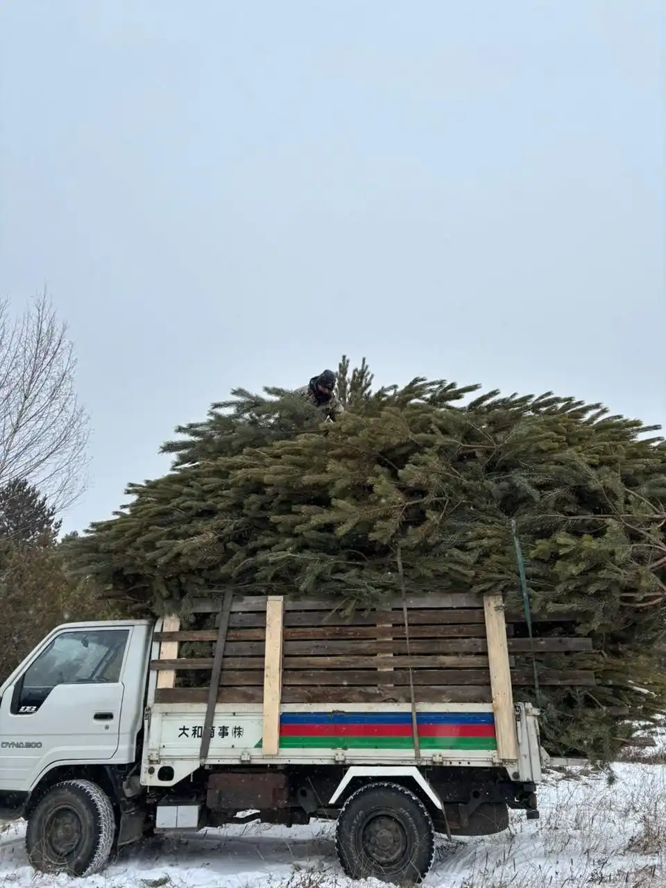 Доставка ёлочек и подставок по Чите и пригороду
