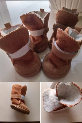 Продажа сапожек для таксы - Кошки и котята в Чита