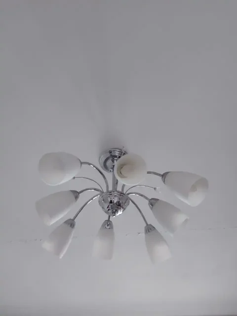 Продажа люстр и керамических горшков для цветов - Саженцы в Чита