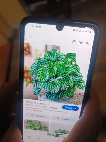 Срочная покупка в Чите - Детские товары в Чита