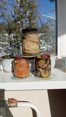 Продам грузди соленые и маринованные - Электротранспорт в Чита