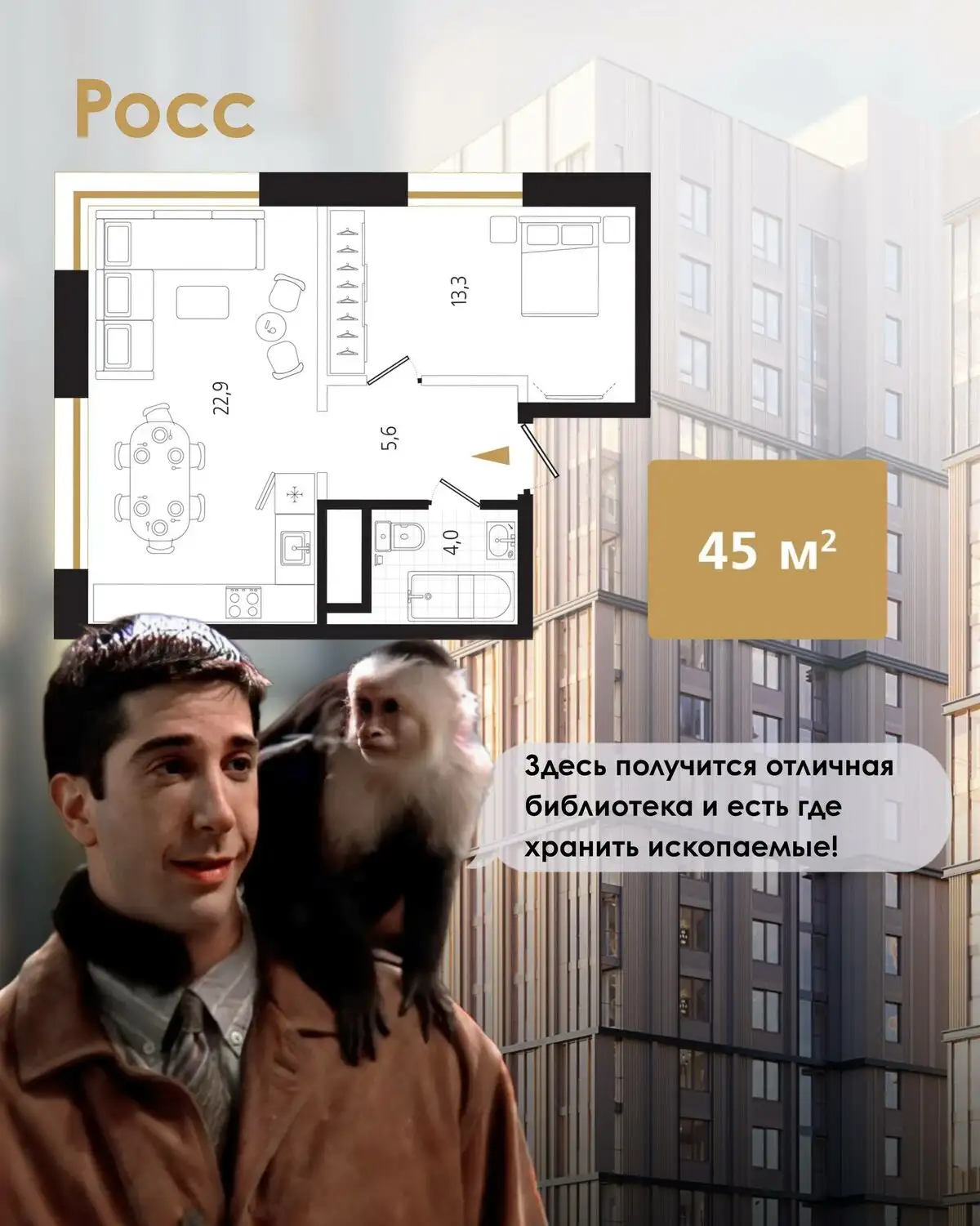 Выбор квартиры для героев сериала «Друзья» от застройщика Эдельвейс - Квартиры (Недвижимость) в Чита