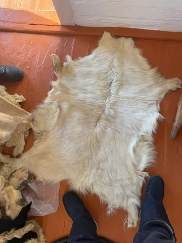 Продам козью шкуру выделанная - Гигиена и косметика в Чита