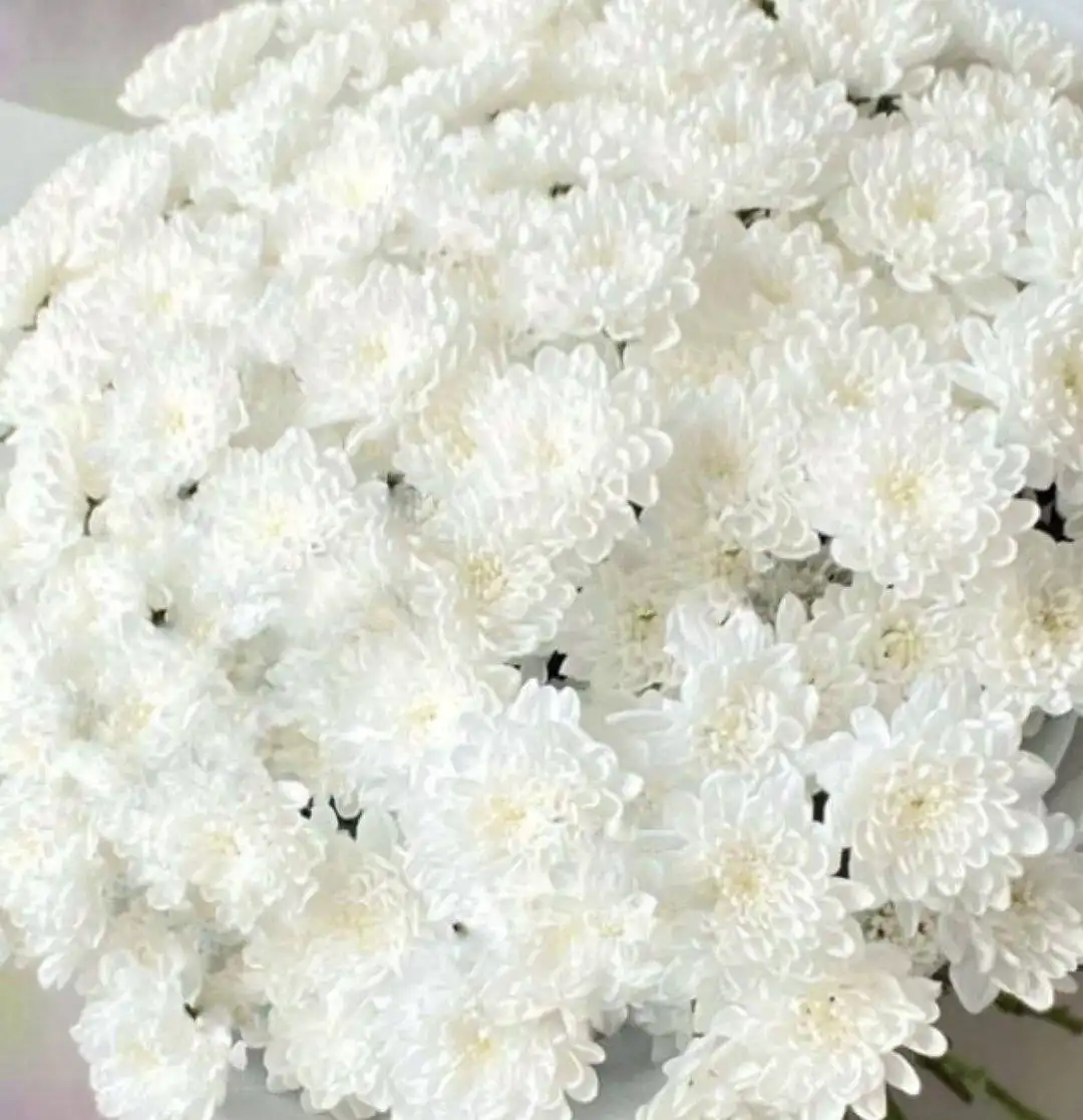 Заказы ко дню мамочек