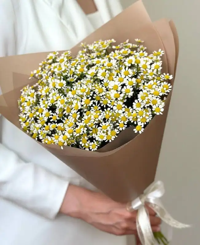 Предзаказы к 14 февраля с бесплатной доставкой - Услуги в Томск