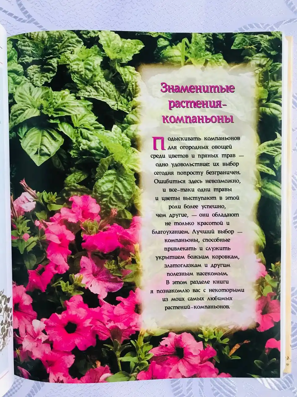 Книга - лучший подарок!