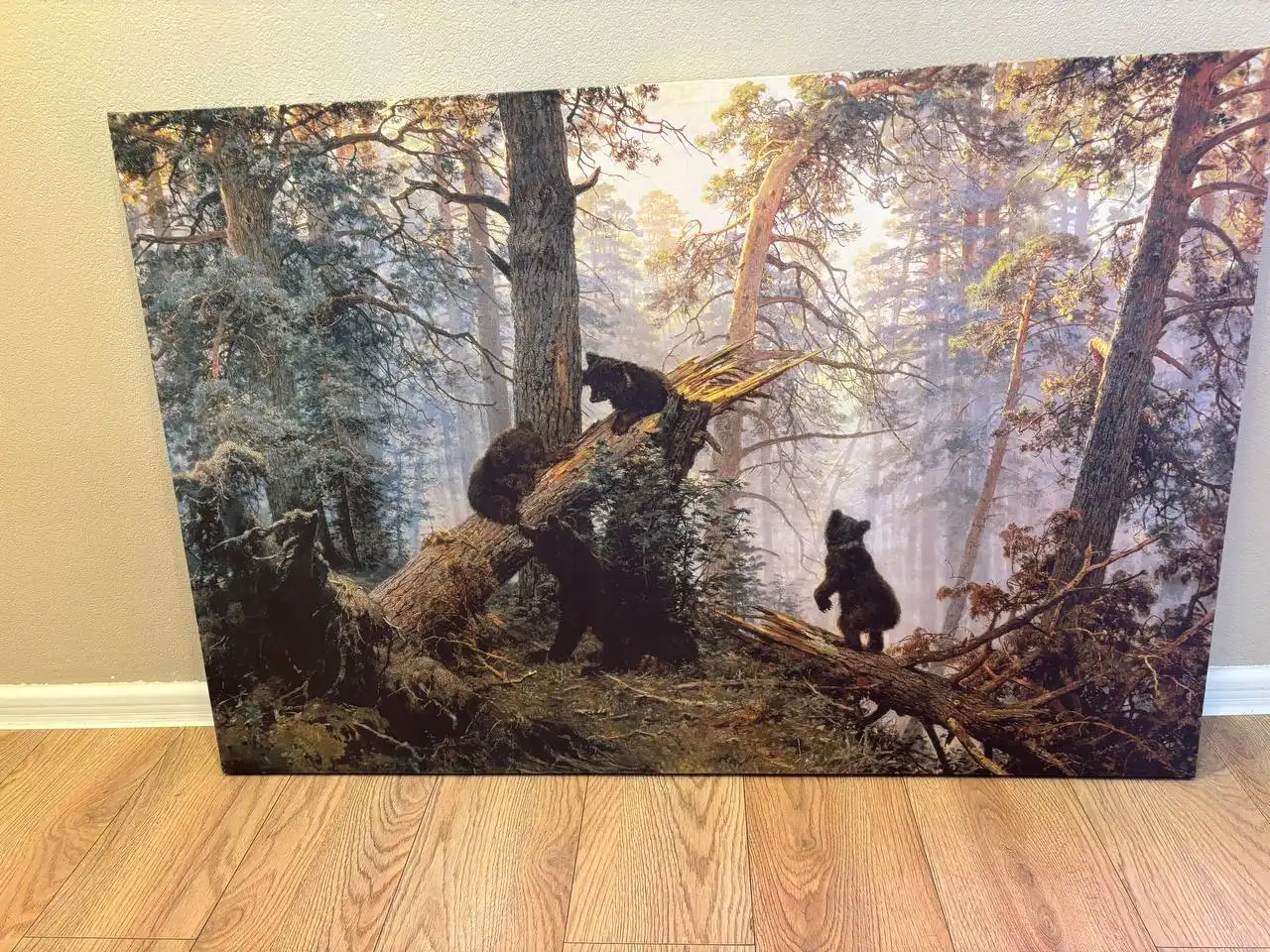 Продажа одежды и рамок