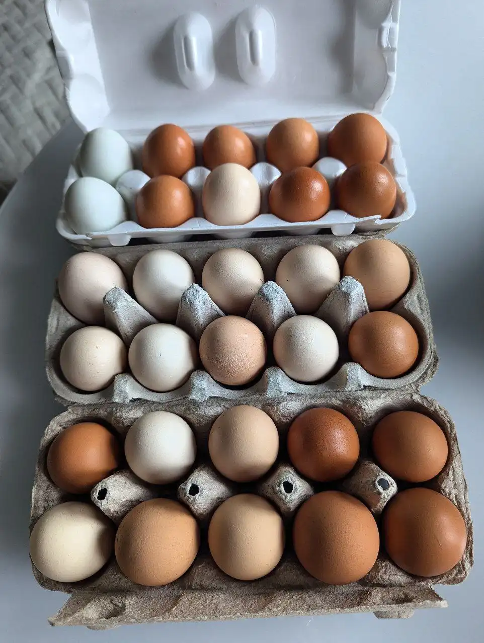 Продажа домашних яиц