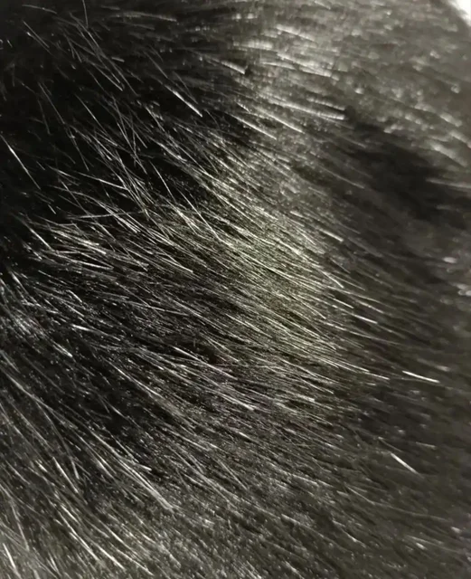 Шарф меховой новый черный - частное объявление в Москва