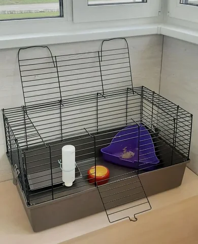 Клетка для грызунов с комплектацией - частное объявление в Бутово