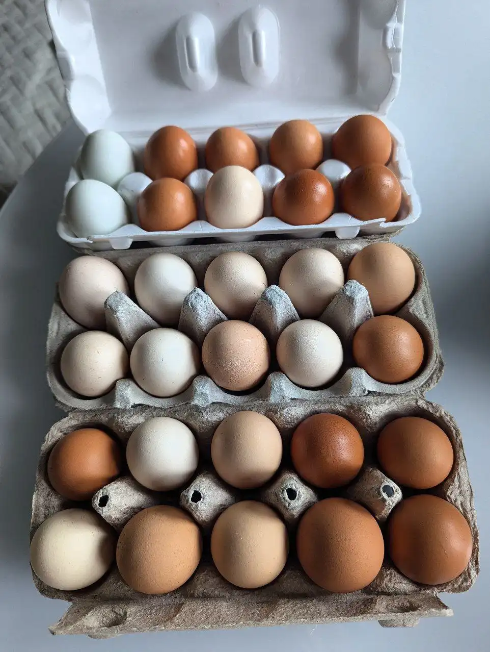 Продажа домашних яиц - Продукты питания (Барахолка) в Подольск