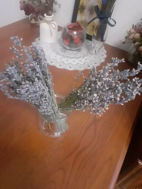 Продажа лаванды - Хобби и отдых в Боброво