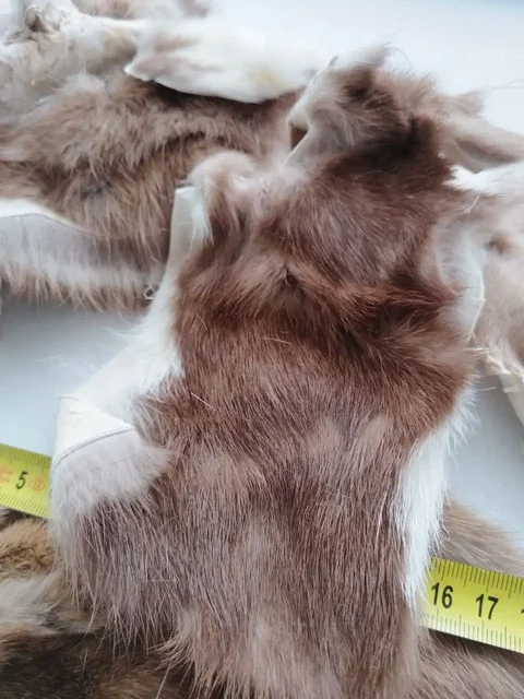 Продажа целых шкурок натурального меха - Барахолка в Митино
