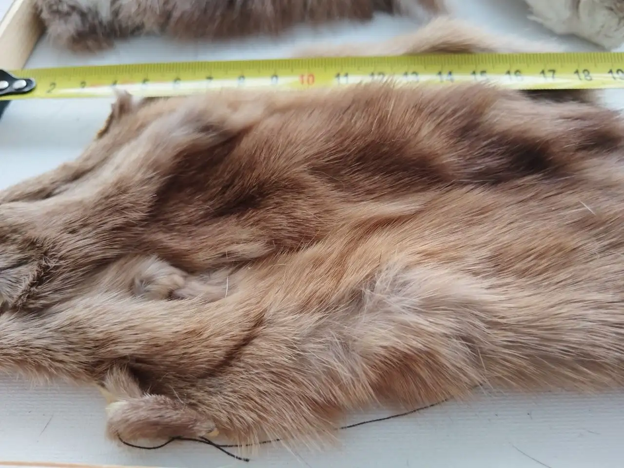 Продажа целых шкурок натурального меха - Мех, шкуры (Барахолка) в Митино