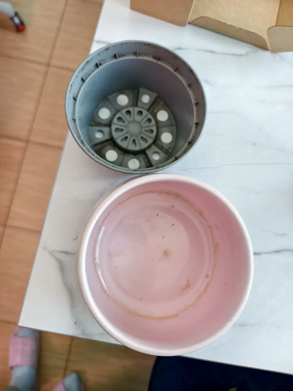 Продажа керамического кашпо - Кашпо (Для дома и дачи) в Северное Бутово